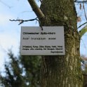 Geografisches Arboretum Rombergpark am 17,102018 (86)